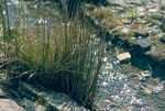 Product Range 2021 Pumps Maintenance Illumination/Solar Decoration Pond Construction - Pontec
