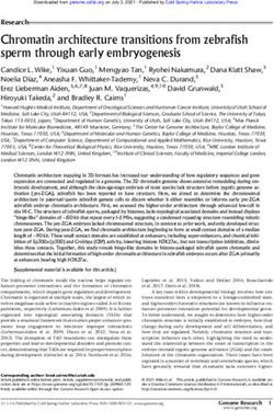 Chromatin architecture transitions from zebrafish sperm through early embryogenesis