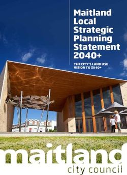 Maitland Local Strategic Planning Statement 2040+ - THE CITY'S LAND USE VISION TO 2040+ - Amazon ...