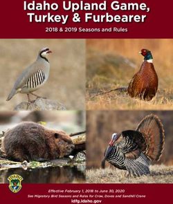 Idaho Upland Game, Turkey & Furbearer - 2018 & 2019 Seasons and Rules - idfg.idaho.gov - Idaho Fish and Game