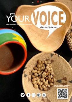 IT'S ubuntu dipl mat - Dirco