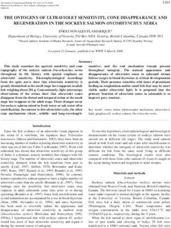 THE ONTOGENY OF ULTRAVIOLET SENSITIVITY, CONE DISAPPEARANCE AND REGENERATION IN THE SOCKEYE SALMON ONCORHYNCHUS NERKA