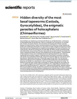 Hidden diversity of the most basal tapeworms (Cestoda, Gyrocotylidea), the enigmatic parasites of holocephalans (Chimaeriformes) - Nature