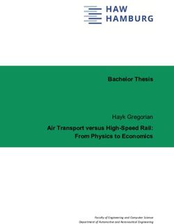 Bachelor Thesis Air Transport versus High-Speed Rail: From Physics to Economics - Hayk Gregorian - HAW Hamburg