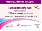 Forging Real Alliances in Virtual Spaces - The Lupus Academy