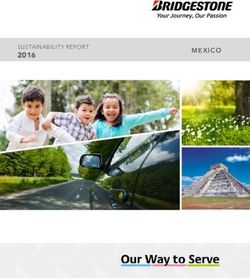 2016 SUSTAINABILITY REPORT - MEXICO - Bridgestone