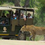 ABOUT THE TOUR 5 DAY BUDGET KRUGER STUDENT SAFARI