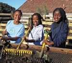 Volunteering - GOOD - ICCE