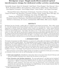 Betelgeuse scope: Single-mode-fibers-assisted optical interferometer design for dedicated stellar activity monitoring - export.arXiv.org