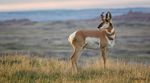 "Introduction to Badlands National Park" - Sandra Lee ...