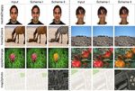 AttentionGAN: Unpaired Image-to-Image Translation using Attention-Guided Generative Adversarial Networks