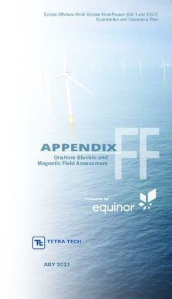 APPENDIX Onshore Electric and Magnetic Field Assessment - JULY 2021