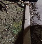 BUDGET 2021 PEEL REGIONAL POLICE - Region of Peel