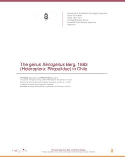 The genus Xenogenus Berg, 1883 (Heteroptera: Rhopalidae) in Chile - Redalyc