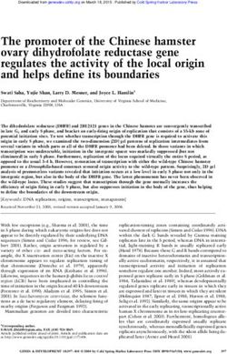 The promoter of the Chinese hamster ovary dihydrofolate reductase gene regulates the activity of the local origin and helps define its boundaries