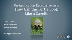 How Can the Turtle Look - On Application Responsiveness: Like a Gazelle