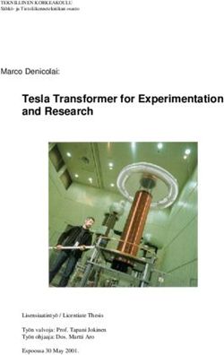 Tesla Transformer for Experimentation and Research - Marco Denicolai