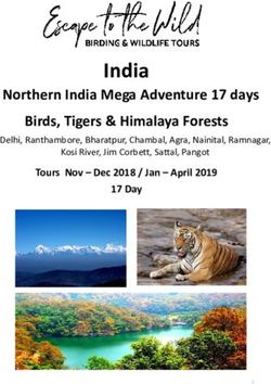 India Northern India Mega Adventure 17 days Birds, Tigers & Himalaya Forests - Tours Nov - Dec 2018 / Jan - April 2019 - Escape to the Wild