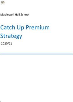 Catch Up Premium Strategy - Maplewell Hall School 2020/21