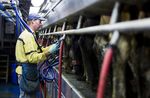 Better protections for contractors - Discussion document for public feedback - MBIE