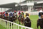 Fundraising Day at The Galway Races 27th October 2019 - www.galwayraces.com #raceinpink