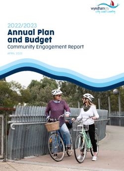 Annual Plan and Budget 2022/2023 - The Loop