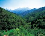 Sumitomo Forestry Group CSR Report 2016 - Digest - 住友林業