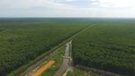 Sumitomo Forestry Group CSR Report 2016 - Digest - 住友林業