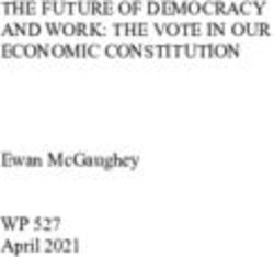 THE FUTURE OF DEMOCRACY AND WORK: THE VOTE IN OUR ECONOMIC CONSTITUTION - EWAN MCGAUGHEY