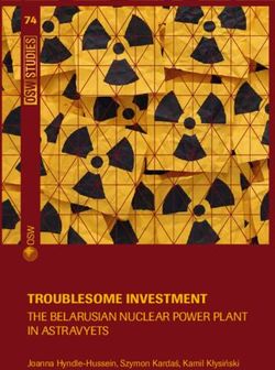 TROUBLESOME INVESTMENT THE BELARUSIAN NUCLEAR POWER PLANT IN ASTRAVYETS 74 - JOANNA HYNDLE-HUSSEIN, SZYMON KARDAŚ, KAMIL KŁYSIŃSKI - ARCHIVE OF ...