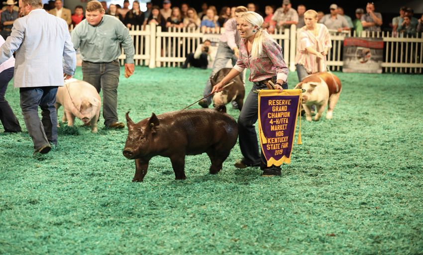 4H/FFA YOUTH LIVESTOCK The Kentucky State Fair