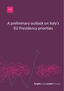 A preliminary outlook on Italy's EU Presidency priorities - EUKN
