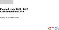 Plan Industrial 2017 - 2019 Enel Generación Chile - Santiago, 24 Noviembre de 2016 - Enel Chile