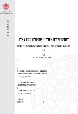 BEYOND BULLETS AND BALLOTS - A THEORETICAL INQUIRY ON SEXUALISED ELECTION VIOLENCE - DIVA PORTAL