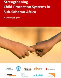 Strengthening Child Protection Systems in Sub-Saharan Africa - A working paper