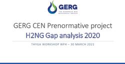 GERG CEN Prenormative project H2NG Gap analysis 2020 - THYGA WORKSHOP WP4 - 30 MARCH 2021