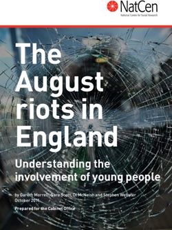The August riots in England - Understanding the involvement of young people Prepared for the Cabinet Office - Gov.uk