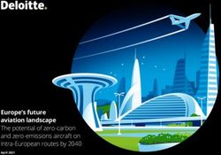 Europe's future aviation landscape - The potential of zero-carbon and zero-emissions aircraft on intra-European routes by 2040