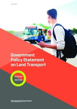 Government Policy Statement on Land Transport 2018/19 2027/28 - Ministry of Transport