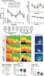 Notch3-Dependent Effects on Adult Neurogenesis and Hippocampus-Dependent Learning in a Modified Transgenic Model of - CADASIL