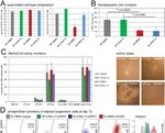 Expression of RUNX1-JAK2 in Human Induced Pluripotent Stem Cell-Derived Hematopoietic Cells Activates the JAK-STAT and MYC Pathways