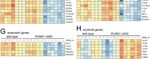 Expression of RUNX1-JAK2 in Human Induced Pluripotent Stem Cell-Derived Hematopoietic Cells Activates the JAK-STAT and MYC Pathways