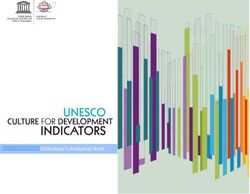 Zimbabwe's Analytical Brief - Zimstat