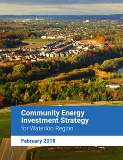 Community Energy Investment Strategy - for Waterloo Region February 2018