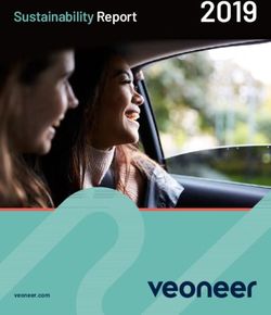 2019 Sustainability Report - veoneer.com
