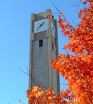 FALL SEMESTER CATALOG 2019 - Rethink Learning Discovery Vitality Camaraderie Enrichment Creativity - Northwestern SPS