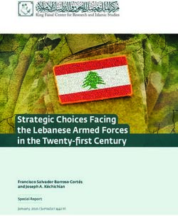 Strategic Choices Facing the Lebanese Armed Forces in the Twenty-first Century - Francisco Salvador Barroso Cort&eacute;s and Joseph A. K&eacute;chichian