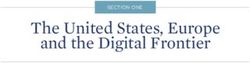 The United States, Europe and the Digital Frontier