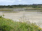Tidal Wetlands after Hurricane Sandy: Baseline restoration assessment and future conservation planning