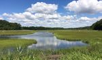 Tidal Wetlands after Hurricane Sandy: Baseline restoration assessment and future conservation planning